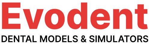 Evodent Logo