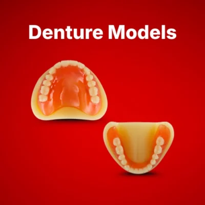 Denture Models