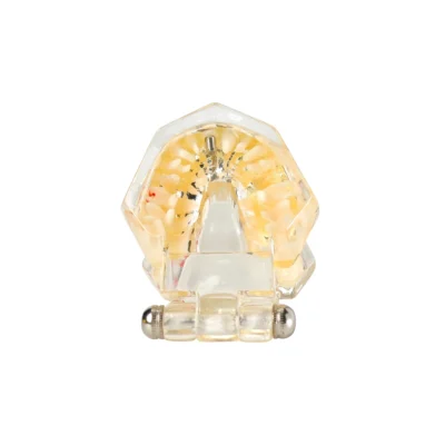 Evodent All in One with Three Implant FPD