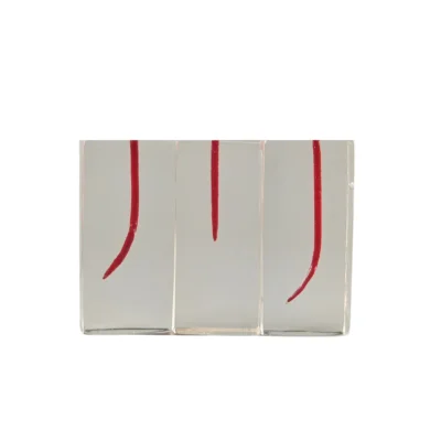 Evodent dental canal pack of 3 showing three high-precision canal models for root canal training. Designed for endodontic practice and dental education