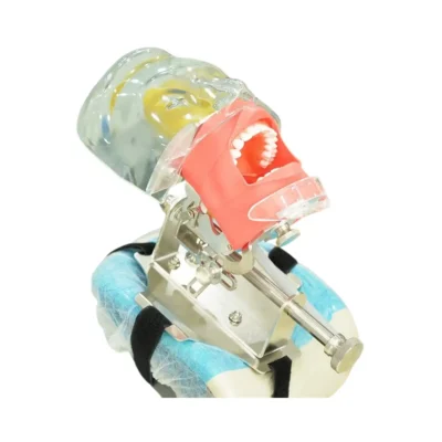 Evodent headrest mount phantom head with drain training featuring a built in drain designed for realistic typodont practice and pre clinical simulation