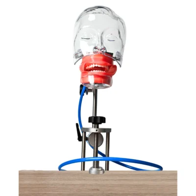 Evodent Table Mount Phantom Head with Drain Evodent table-mount phantom head designed for dental training, securely fixed to a workstation. Includes an integrated drain system for realistic simulation of clinical procedures