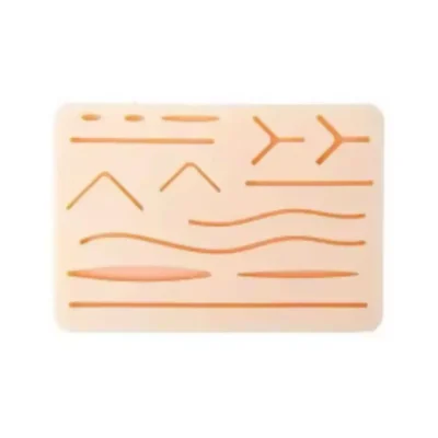 Evodent silicone tissue model designed for realistic suture practice shows layered structure for training cuts, stitches, and knot-tying