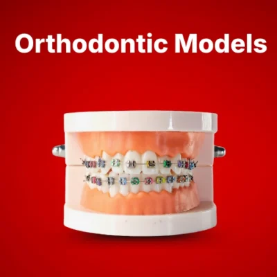 Orthodontic Models