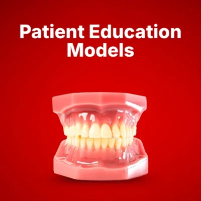 Patient Education Models