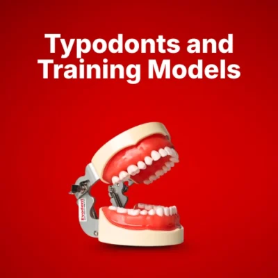 Typodonts and Training Models